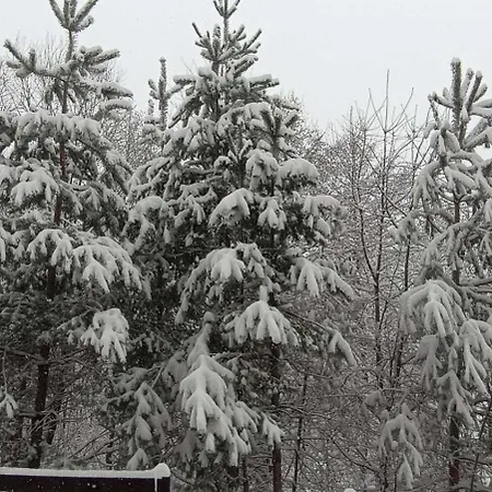 Apartmán 26а Detelina *