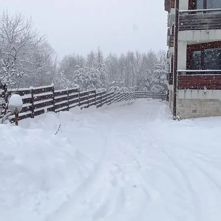 26а Detelina 公寓 班斯科