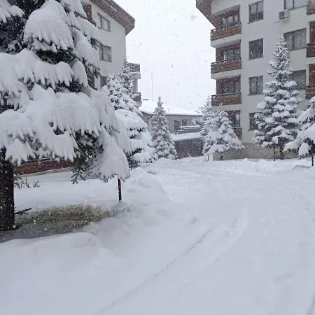 26а Detelina شقة