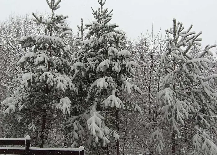 Apartment 26а Detelina *