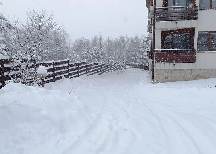 26а Detelina 公寓 班斯科