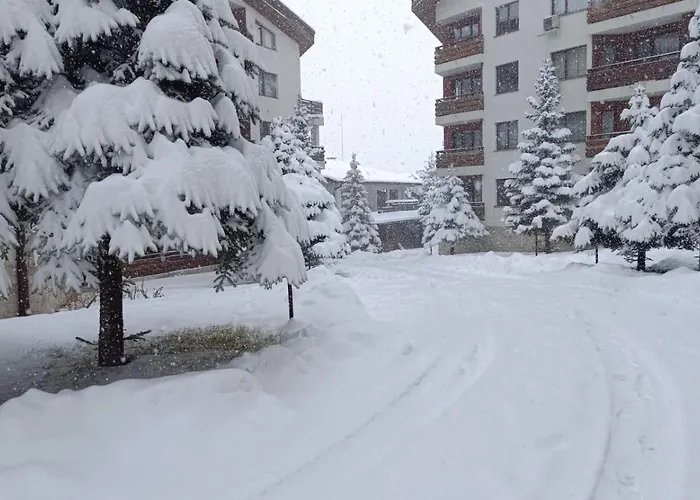 26а Detelina 公寓