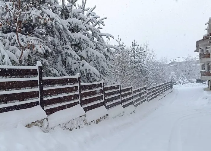 Apartment 26а Detelina *